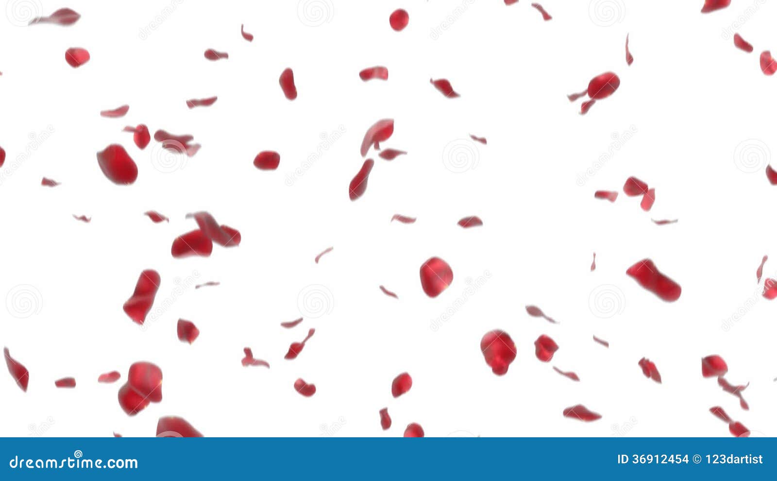 Falling Rose Petals Stock Video Video Of Love Leaf