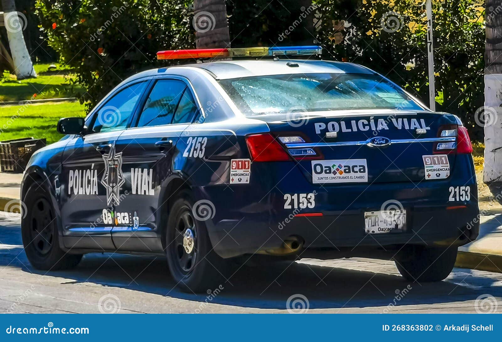 Mexican Police Cars