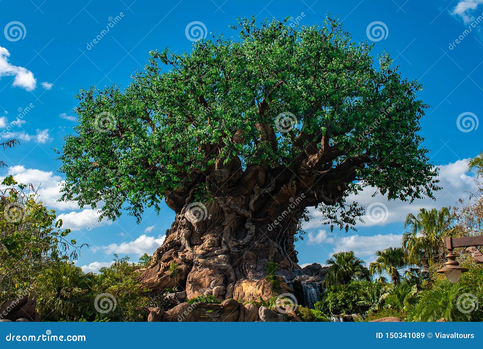 Download Beautiful View Of Tree Of Life At Animal KIngdom At Walt Disney World Area 4 Editorial Stock ...