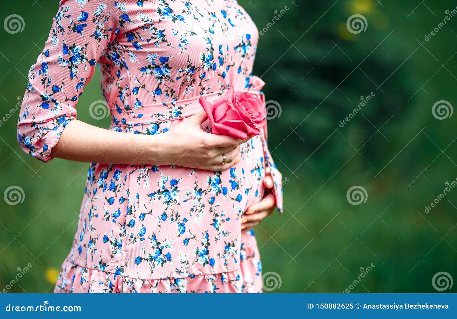 Pregnant Woman Touching Bump Whilst Holding Pink Rose Girl Waiting ...