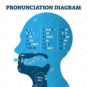 Pronunciation Diagram Chart with Letters and Corresponding Sounds ...