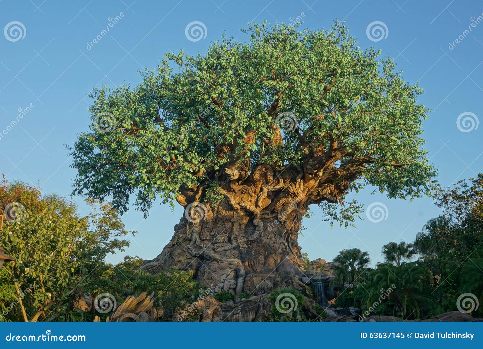 Download Tree Of Life - Disney Animal Kingdom Stock Image - Image of life, view: 63637145