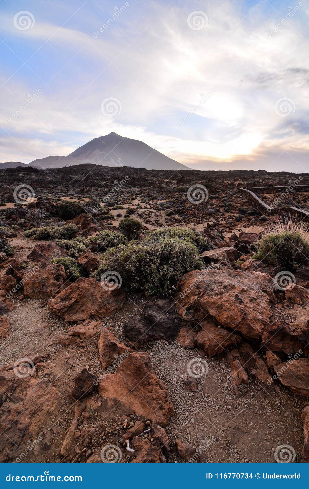 Volcano Teide National Park Tenerife Fotografia Stock - Immagine di ...