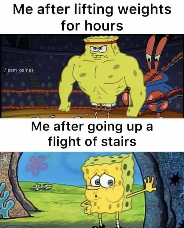 30 Gym Memes to Motivate You to Take a Nap