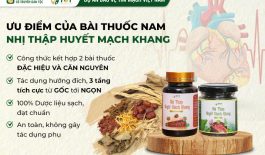 Ưu điểm bài thuốc Nhị thập Huyết mạch khang