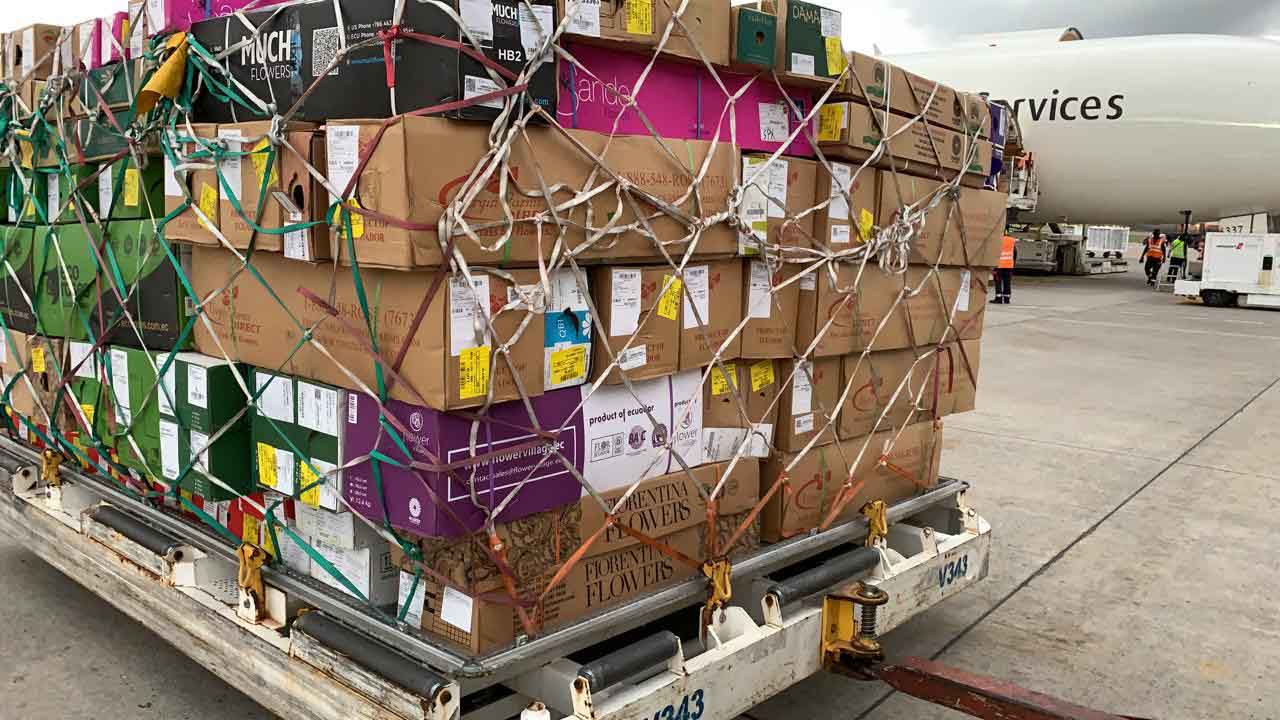 virgin-farms-article-on-thursd-cargo-tarmac