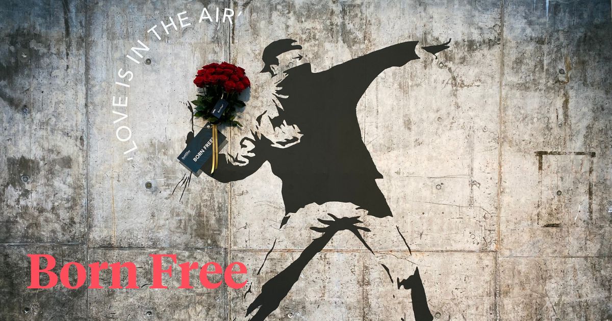 Banksy Art Wallpaper Flower Thrower