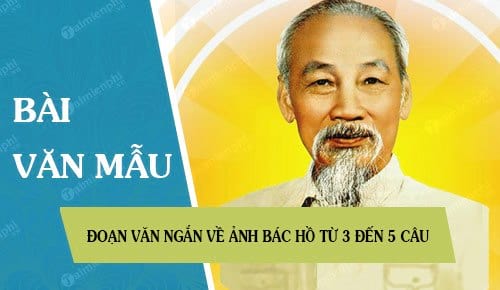 10 Bài Mẫu Đoạn Văn Ngắn Về Ảnh Bác Hồ Từ 3 Đến 5 Câu