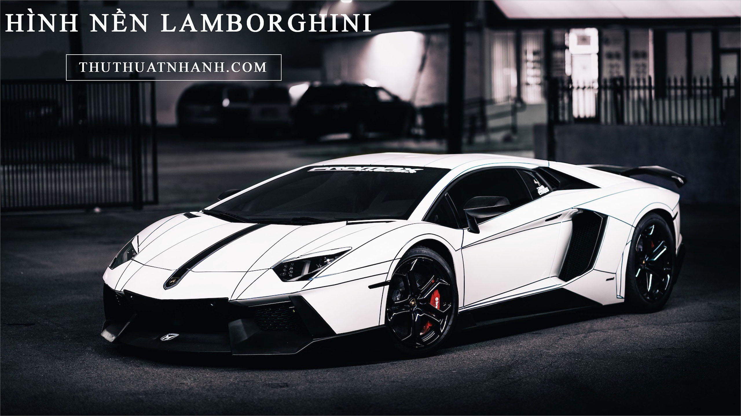 Lamborghini luôn là một trong những thương hiệu xe hơi được yêu thích nhất trên thế giới. Với kiểu dáng lôi cuốn cùng sức mạnh mãnh liệt, Lamborghini không chỉ là một chiếc xe, mà còn tượng trưng cho phong cách và đẳng cấp.