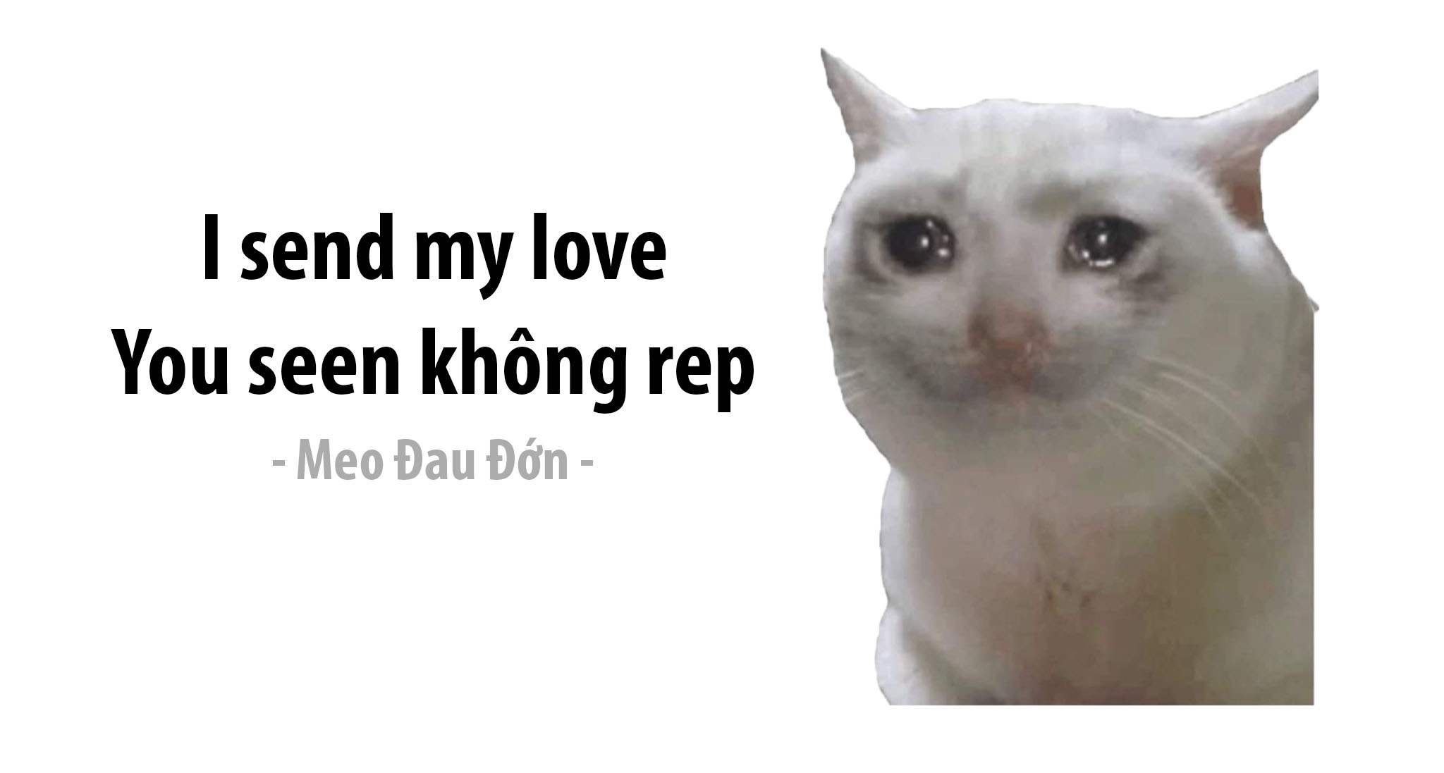 Để tạo không khí làm việc thú vị hơn, hãy cài hình nền máy tính mèo meme thú vị và đáng yêu này. Hãy thưởng thức hình ảnh này trong giờ làm việc ấy của bạn để cảm thấy vui vẻ hơn.