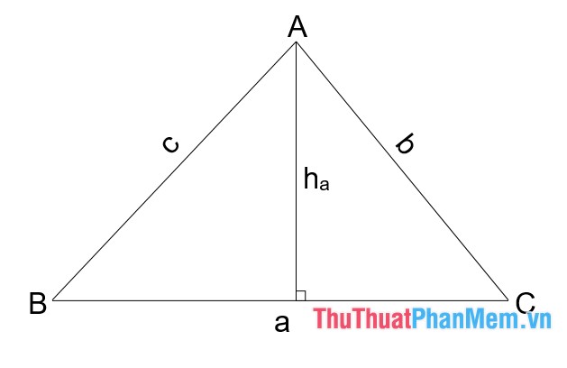 Công thức tính diện tích tam giác Thường, Vuông, Cân, Đều