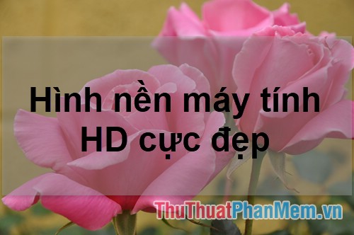 50+ Hình nền máy tính HD cực đẹp 2025