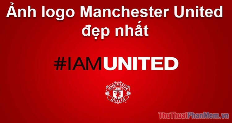 thiết kế logo manchester united 3d đẹp nhất độc quyền và chất lượng tốt nhất