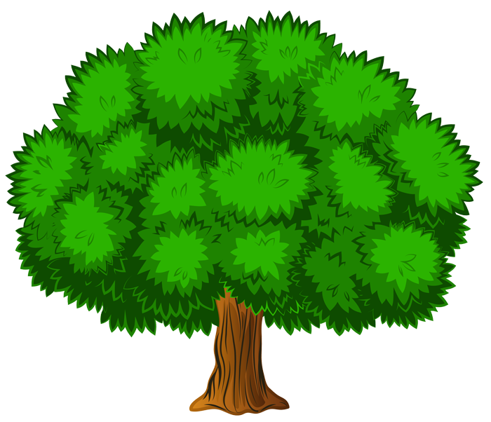 Alberi in formato PNG su sfondo trasparente - Immagini gratis