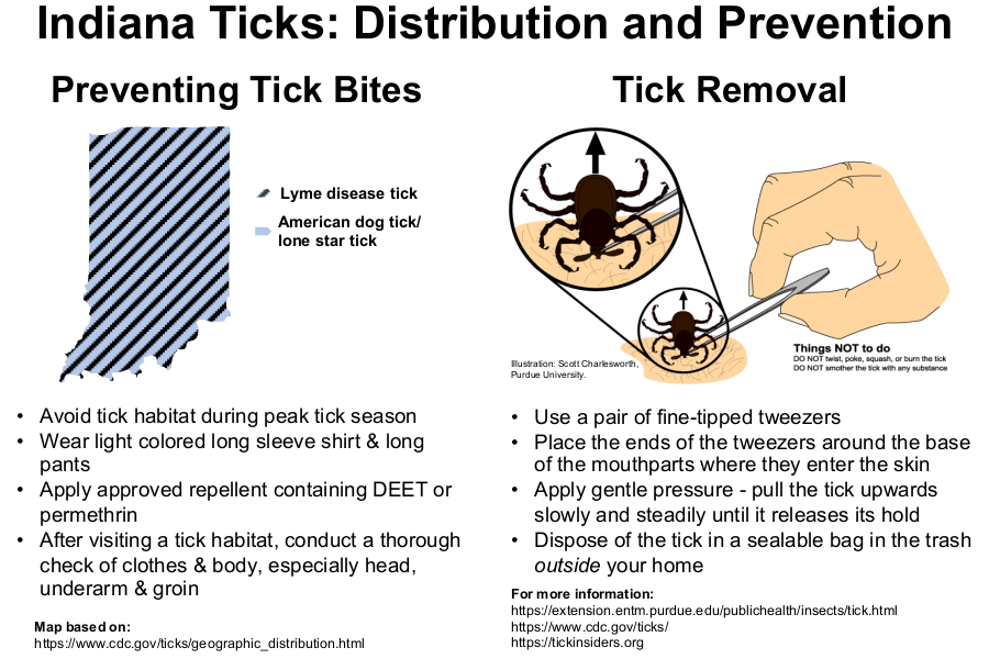 Tick ID Card - Back