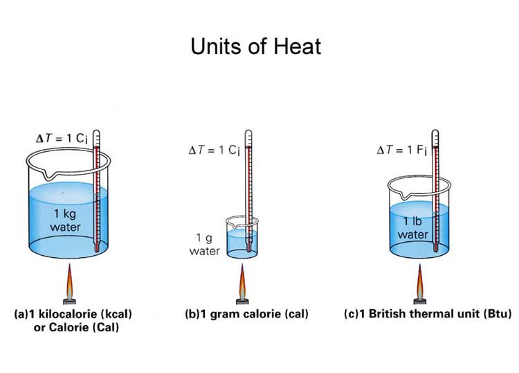 Heat 1