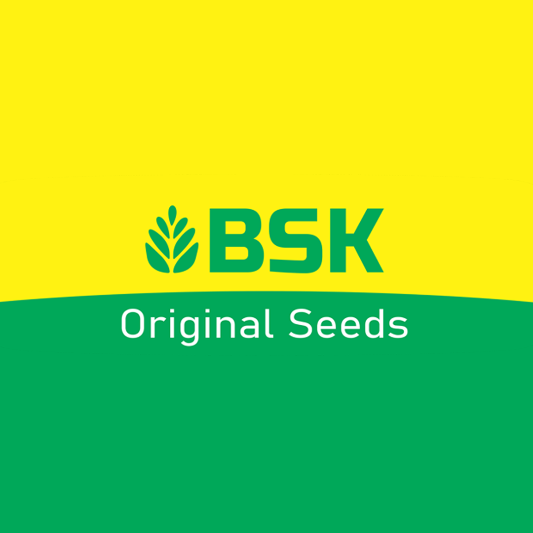 Best Seeds Karnal