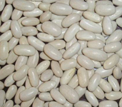 Alubia Beans