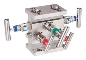 5 Manifold Valve