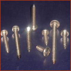 Stainless Steel Screws