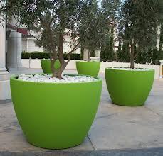 Huge Planters for Land Scape 