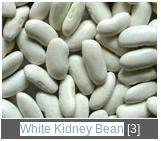 White Kidney Bean