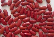 White And Black Red Kidney Bean