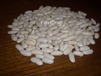 White Beans - Premium Quality, High Nutritional Value, Naturally Grown, Ideal for Healthy Diets