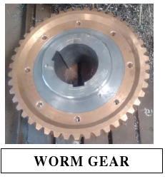 Worm Gear