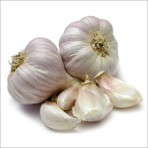 Fresh Garlic