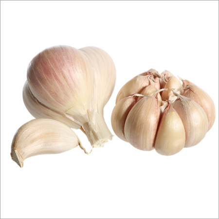 Fresh Garlic - Premium Quality Flavoring Agent | Rich Aroma, Freshness, Pungent Taste, Health Benefits