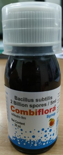 Bacillus Subtilis