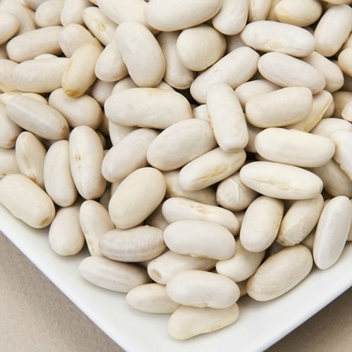 Organic White Kidney Beans - 0.2% Max Admixture, 3% Max Imperfection, Hygienically Processed for Quick Cooking Under 60 Min with Hot Water, High Purity and Moisture 16.5% Max