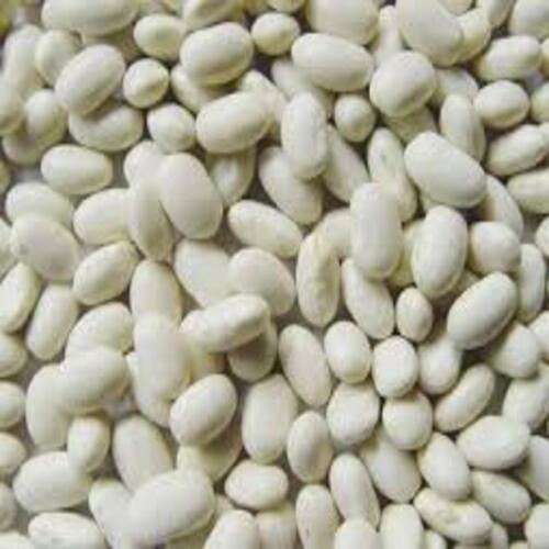 Dried Healthy Natural Organic White Kidney Beans Grade: Food Grade