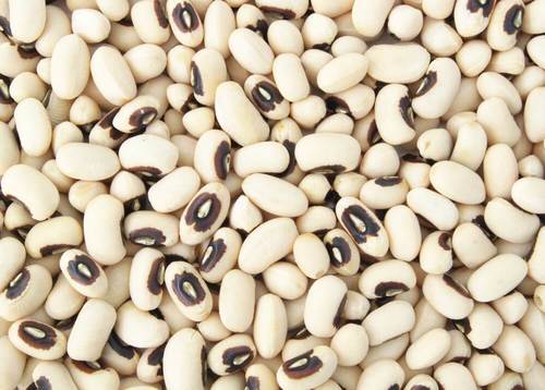 Big & Medium Sized Black Eye Beans Processing Type: Dried