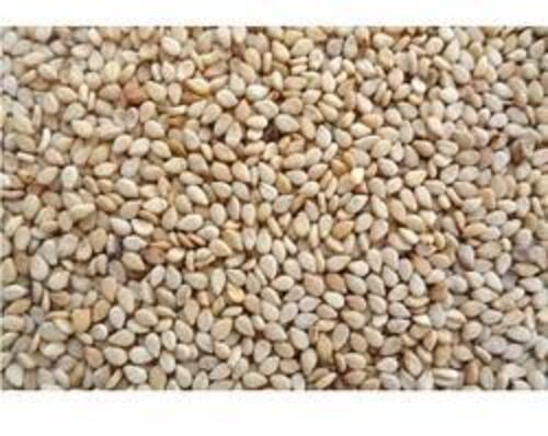 Natural Brown Sesame Seeds For Food Moisture (%): 3-6%max