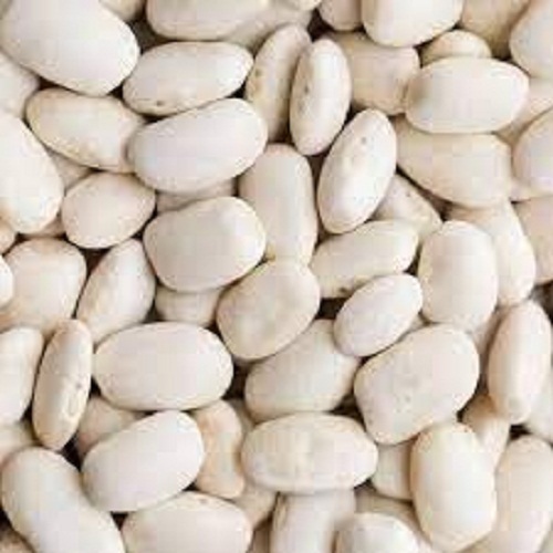 Black Butter Beans Are A Type Of White Bean From The Phaseolus Plant,