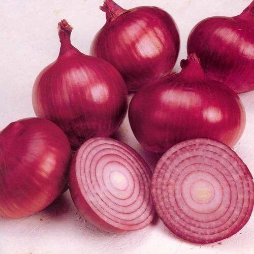 Red Onion - Raw, Round, Rich Color and Aroma | Fresh Flavorful, Versatile for Salads and Cooking, Resilient Storage Capability, Sourced from Certified Farms