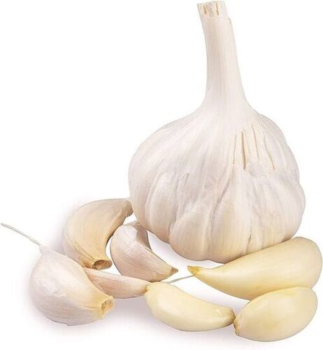 Fresh Garlic - 100% Pure, Very Good Quality | Fresh Harvested, Round Shape, Preserved for Quality, Ideal for Health Benefits