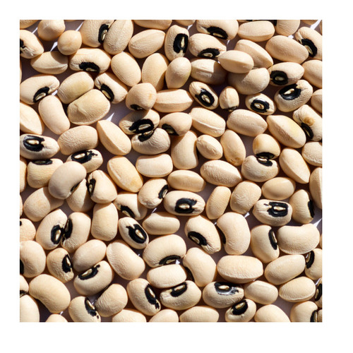 Black Eye Beans - Grade 1 Non-GMO, 5.5 mm Caliber | 99% Purity, Round and Oval Shape, Fresh White and Black Color