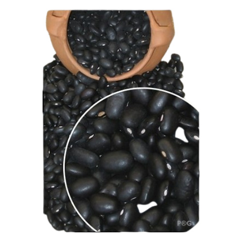 Black Beans - No GMO, Grade 1 Quality, 4mm and 3.5mm Caliber | Fresh, Oval Shape, 99.00% Purity, Packaged in White Polypropylene Bags