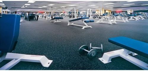 Gymnasium Flooring - Color: ----