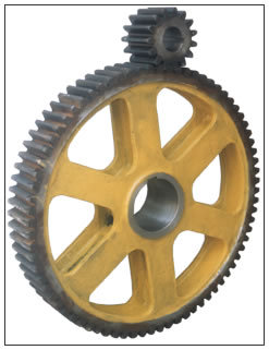 Bull Gear And Pinion