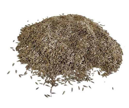 Organic Black Cumin Seeds