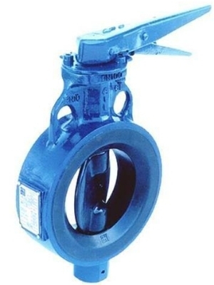 Butterfly Valve