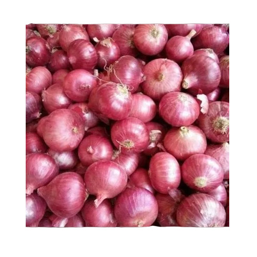 Fresh Round Red Onion