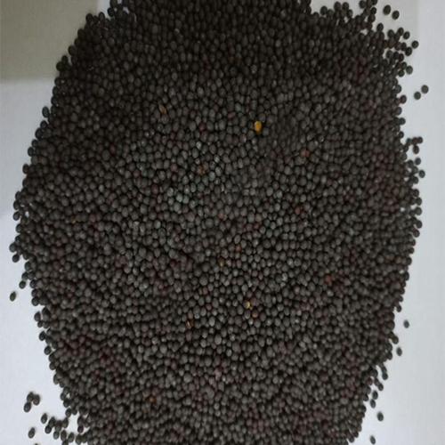 Black Mustard Seed