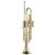 Brass Musical Instrument