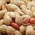 Peanut Seeds