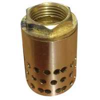 Brass foot valve